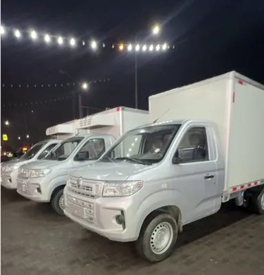 Mise à jour de l'étude de cas : Mini-camion réfrigéré DFSK C71-livré au Kazak...